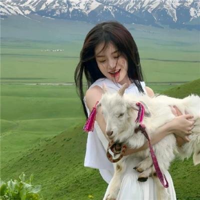 特别行动组海报